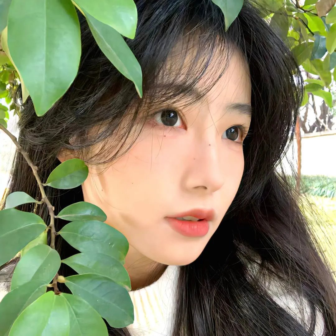 为黛茜小姐开车
